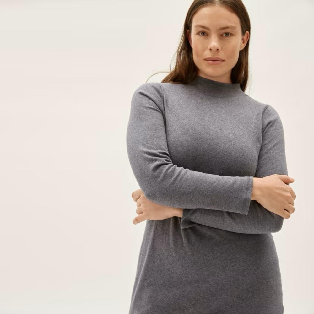 NWT Everlane The Cotton Mock Neck Dress Charcoal